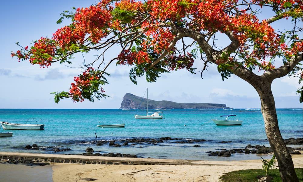 Add "vitamin sea" to your lifestyle in Mauritius